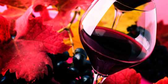 Port Wine