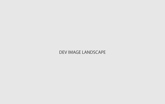 Dev Landscape