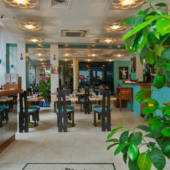 Tas Bloomsbury Interior 10